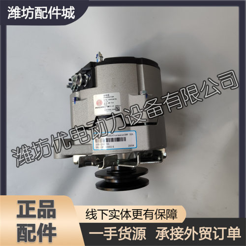 潍柴12M33发电机组柴油发动机Baudouin博杜安1004268705发电机