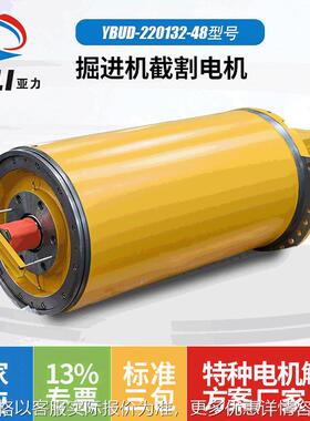 截割电机马达 YBUD-220132-48输送机用隔爆型三相异步电动机现货