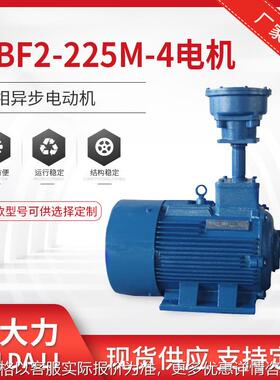 YBF2-225M-4-45W风机用隔爆型三相异步电动机