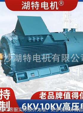 Y高压电机三相异步电动机生产厂家380V 3300V 6000V 10000V