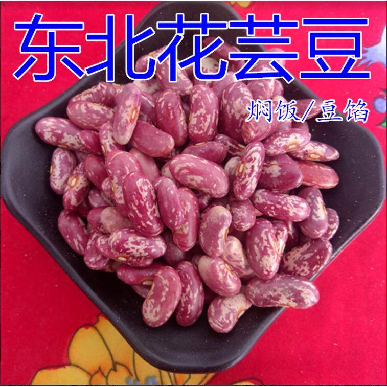 芸豆 东北农家花芸豆 红花芸豆饭豆腰豆紫花豆 东北特产2500g
