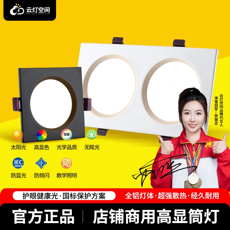 黑色筒灯led嵌入式长方形超薄开孔16*8双孔方形双头射灯20*10cm孔