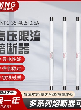 XRNP1-35-40.5-0.5A-50KA25*465mm高压限流熔断器互感器保护用1A/