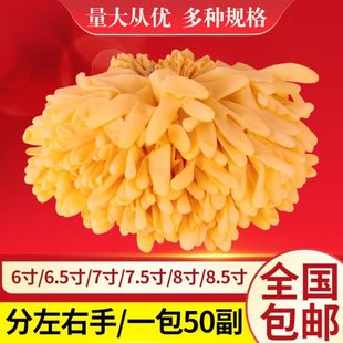 TUF4A级一次性米黄牛筋手套橡胶乳胶分左右手手套无粉水产耐磨手