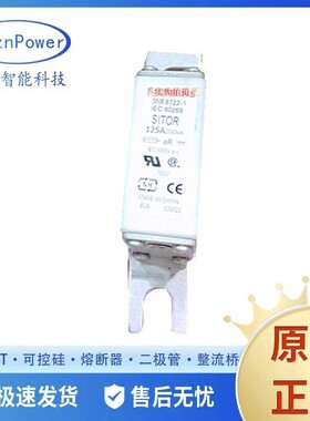 3NA7124 3NA7124-6 3NA7130 全新原装 高压熔断器 保险丝