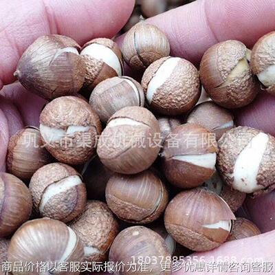 现货多功能苦槠籽剥壳机 橡子粉择子籽脱壳机设备 腰果板栗剥壳机
