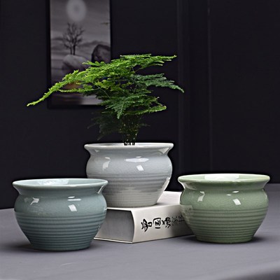 简约家用绿萝植物多肉文竹花盆透气大号蝴蝶兰专用盆陶瓷花卉器皿