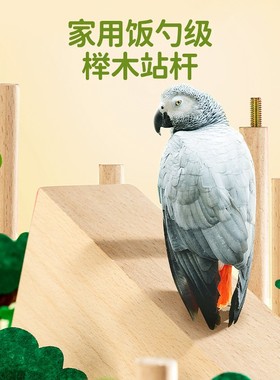 ZOOLIN炫彩亚克力站架文鸟牡丹玄凤鹦鹉鸟用站杆桌面鸟站架