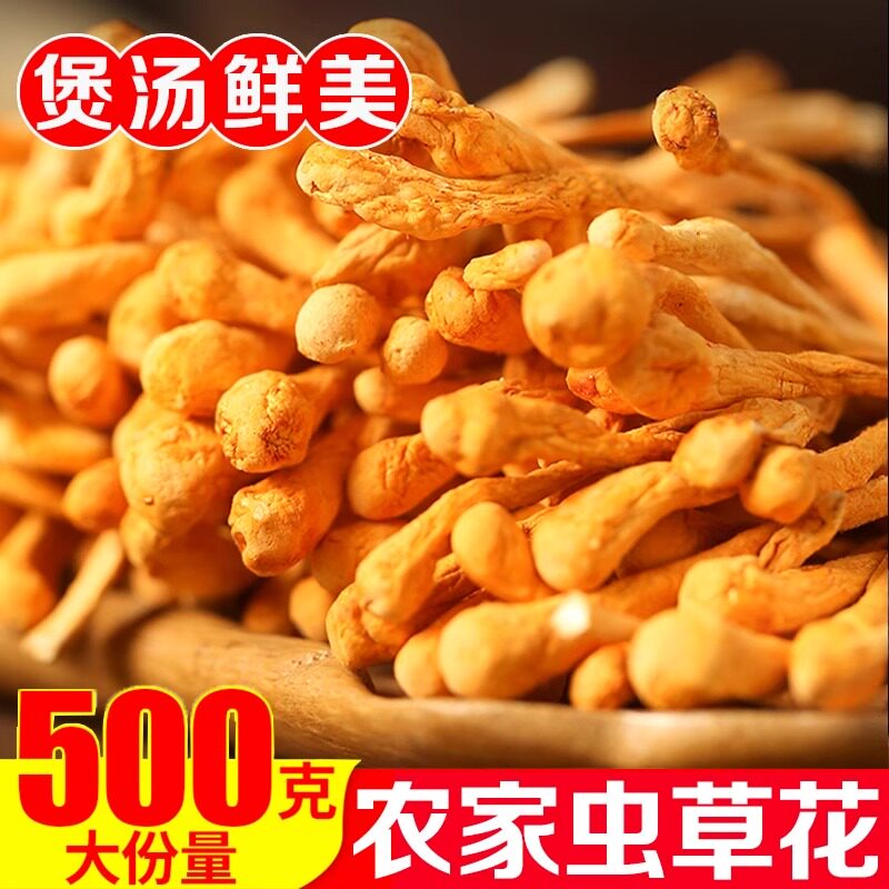 精选虫草花干货新鲜菌菇煲汤食材云南特产虫草花孢子头食用菌