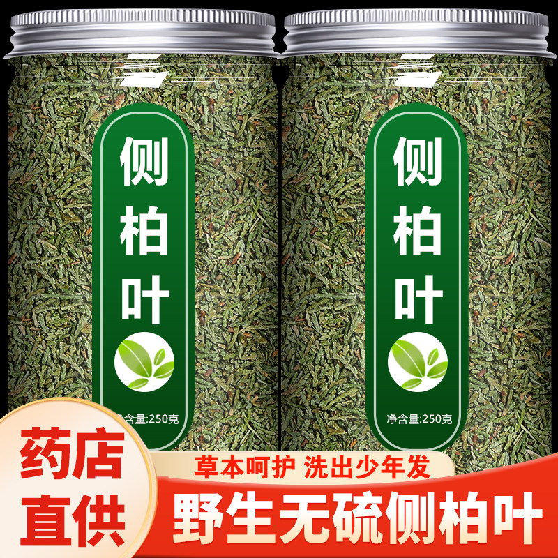 侧柏叶干中药材新鲜洗头发包纯植物草本养发生发育发防