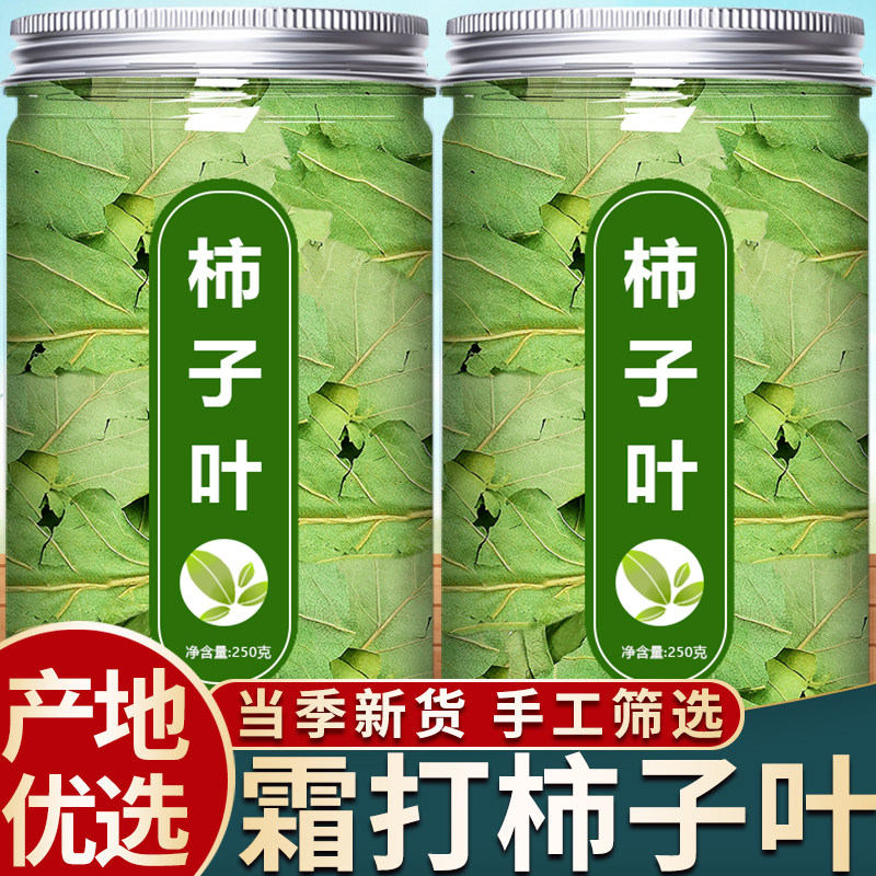 霜后柿子叶茶新鲜干货柿子叶粉末中药材纯柿子膏柿子叶泡水