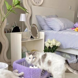 通用除臭猫咪狗窝睡觉休息安全感 小怪兽宠物猫窝四季