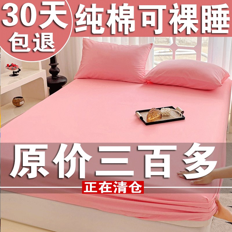 床笠纯棉100h全棉单件2024新款四季通用床套床单三件套床垫保护罩