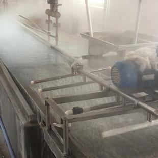 大型粉条加工设备价格