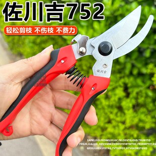 台湾佐川吉782/752/762 尖嘴果树剪台湾摘果修枝剪果树剪佐川吉修