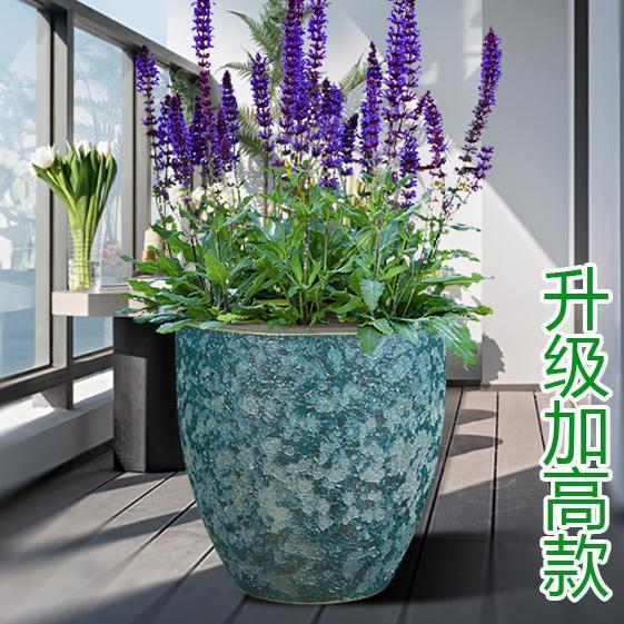 庭院大缸景德镇陶瓷鱼缸水缸养荷花碗莲睡莲盆乌龟缸甲鱼缸加高款
