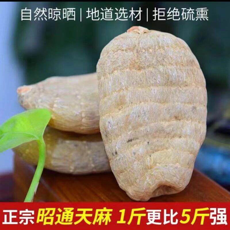 云南昭通小草坝原生态防野生乌天麻250克,无硫无添加,自然晒乾