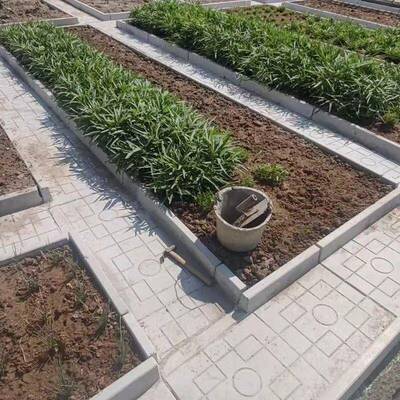 菜沟板家用菜地路面石成品水泥板庭院田园水泥菜沟盖板围栏沿路石