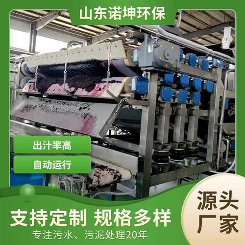 诺坤桑葚清洗破碎榨汁机苹果梨草莓橙子橘子水果汁加工设备