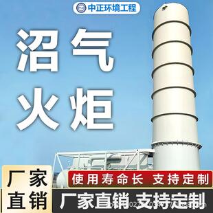 200方内燃式沼气火炬环评检查沼气火炬污水处理厂沼气应急火炬