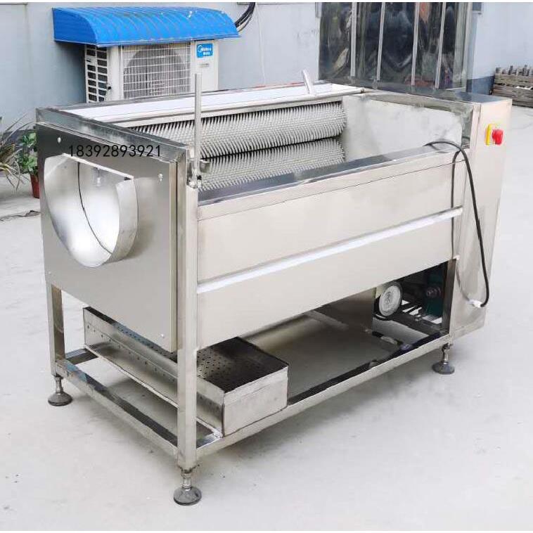 全自动土豆红薯芋头毛辊清洗去皮机毛刷清洗机小型土豆去皮机