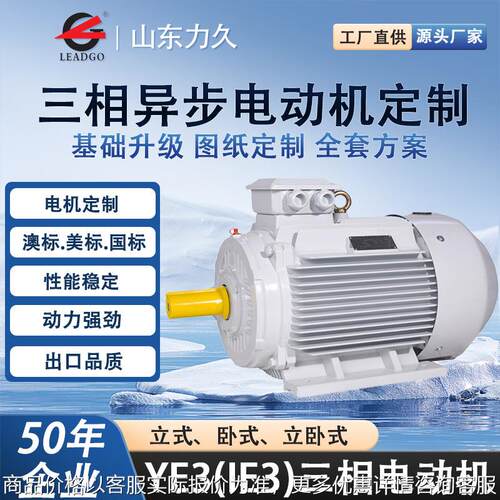 YE3三相异步电动机高效稳定节能马达通用电机纯铜线圈工业用2极