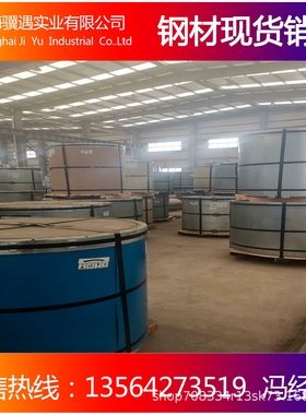 销售白银灰彩涂板 银灰色彩钢卷 宝钢彩钢板TDC51D+Z