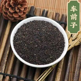 车前子中药饮片车前子药用清热利尿通淋渗湿止泻中药材车前子50g