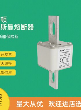 全新快速熔断器保险170M4617 170M4618 170M4619 170M4656
