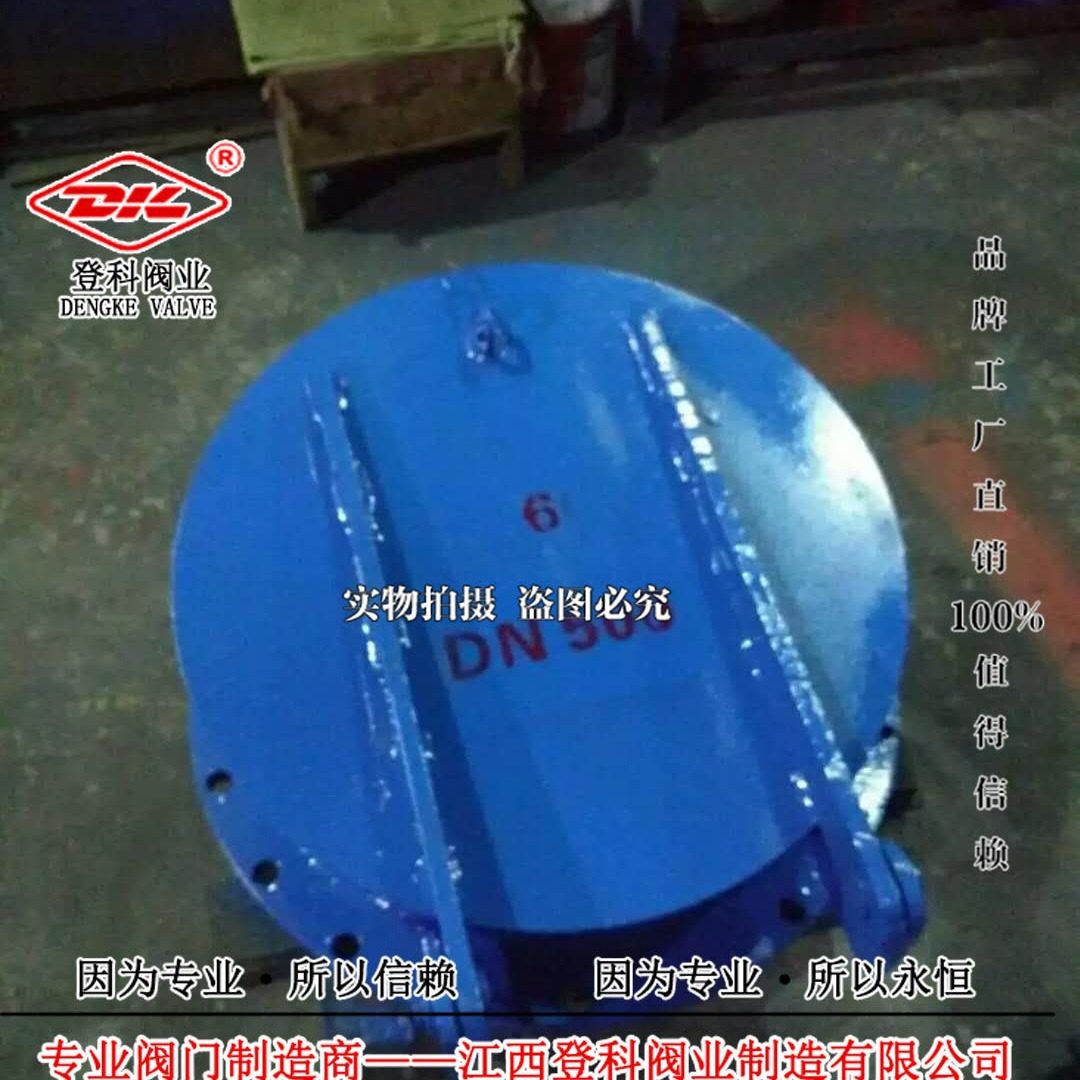 钢板PM拍门 DN600 PN2.5闸门 污水单向阀 防倒灌拍门  拍门碳钢,五金/工具,闸阀,淘宝优惠券,粉丝福利购,淘宝优惠卷