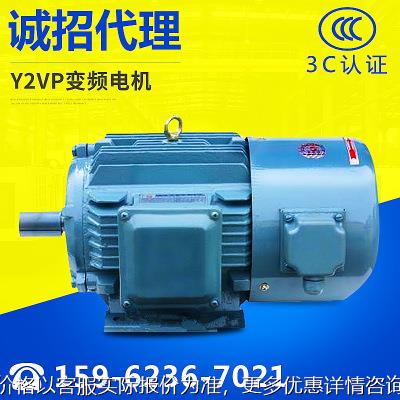 厂家供应Y2VP160M-6-7.5W三相异步变频调速电动机 变频电机马达