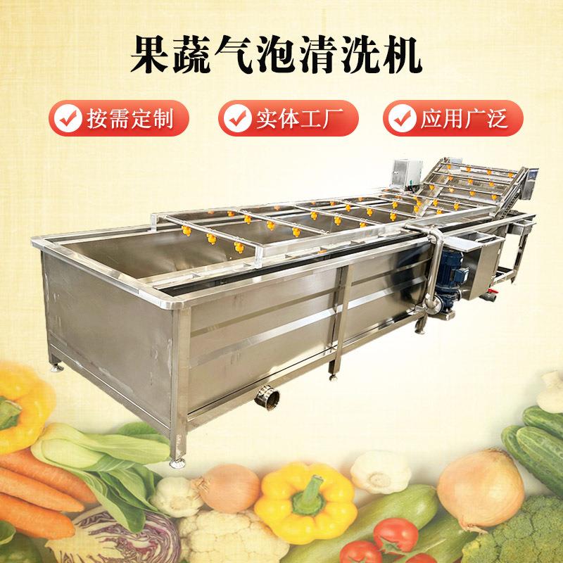 全自动水果果蔬清洗机小型葡萄清洗设备苹果气泡翻浪多功能