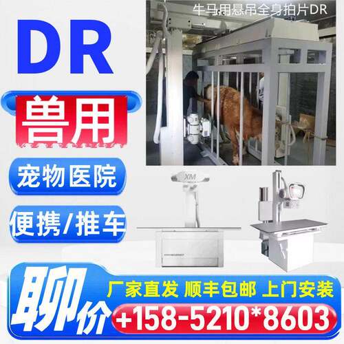 兽用便携式DR机厂家价格 动物DR影像仪器 宠物犬猫拍片机厂家