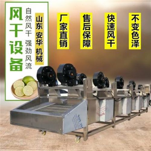 连续西兰洗风干流水线全自动净菜加工设备风干