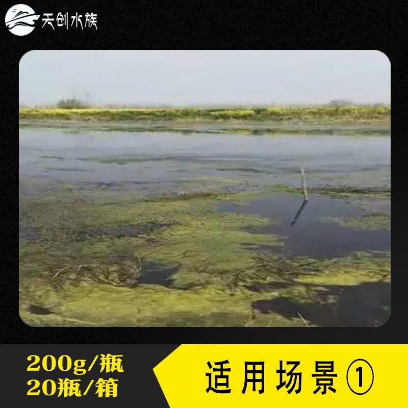 龙虾塘蟹塘杀钢毛藻水产养殖刚毛藻净杀青苔丝状藻水青苔泥皮绿藻