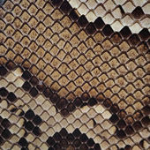 二胡蟒皮蒙皮热瓦普越胡皮中胡胡皮三弦皮坠琴新店促销 全国