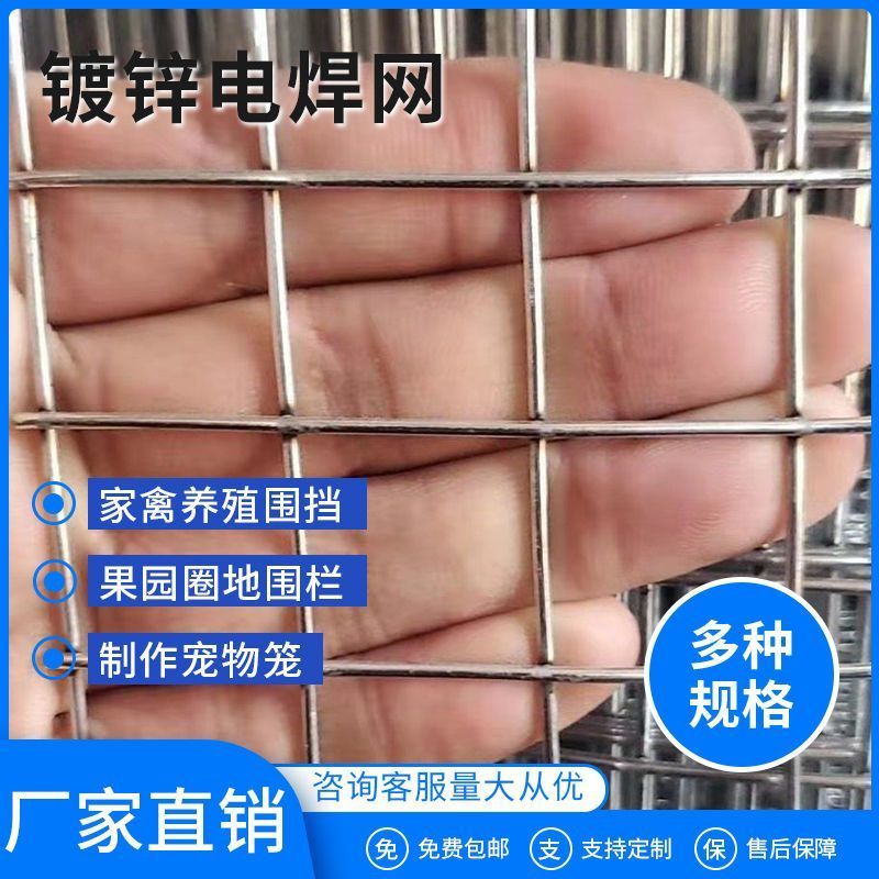 镀锌铁丝网防锈加粗加硬防鼠防护网铁丝网围栏网镀锌隔离网养殖网