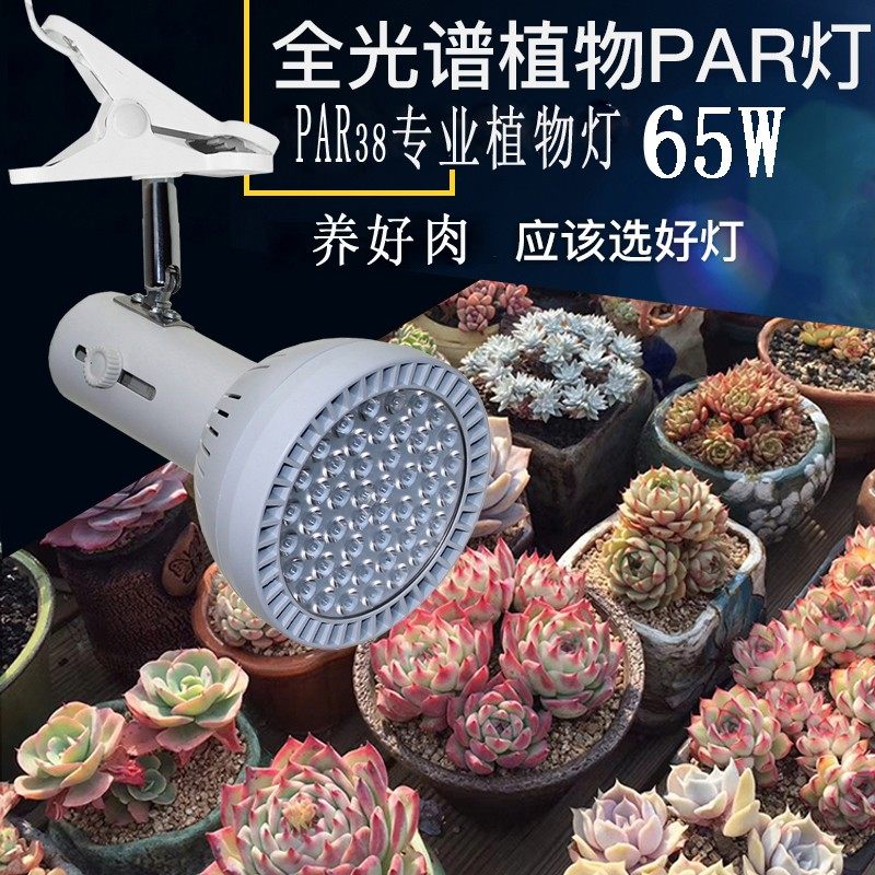W墙补光室内假山鱼缸造景全光谱ld生长轨道缸灯