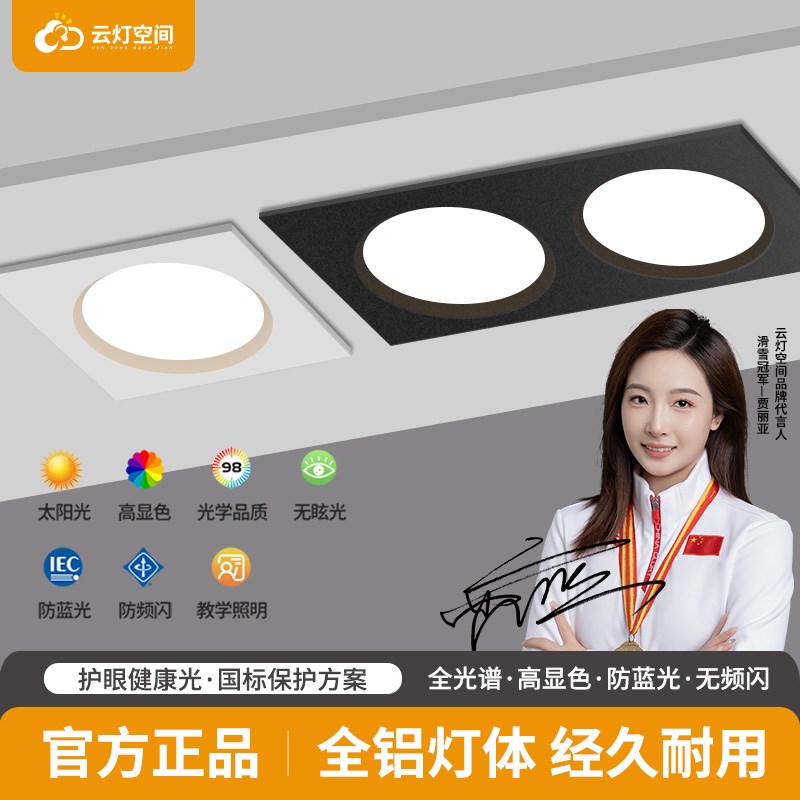 黑色筒灯led嵌入式长方形超薄开孔16*8双孔方形双头射灯20*10cm孔