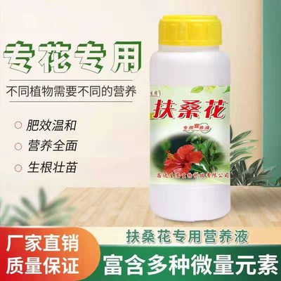 扶桑花营养液朱槿肥料赤槿营养液佛桑喷叶状元红有机营养液