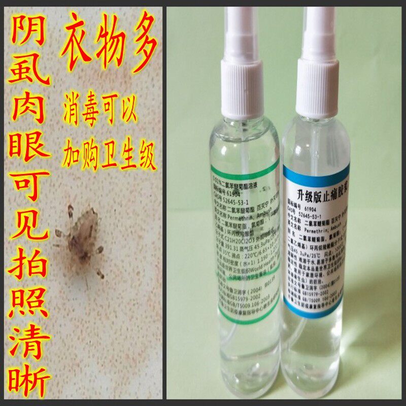 .%二氯苯醚菊脂酯升级 灭杀阴虱卵配内裤被褥卫生消毒