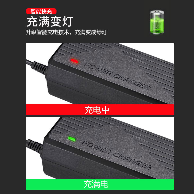 .池充电器电动滑板代驾车平衡车通用充
