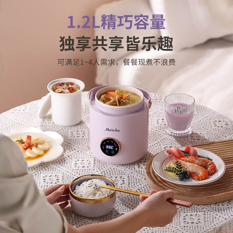 小家电炖锅便携多功能大容量电饭煲煮锅煲汤熬粥炖汤电炖杯