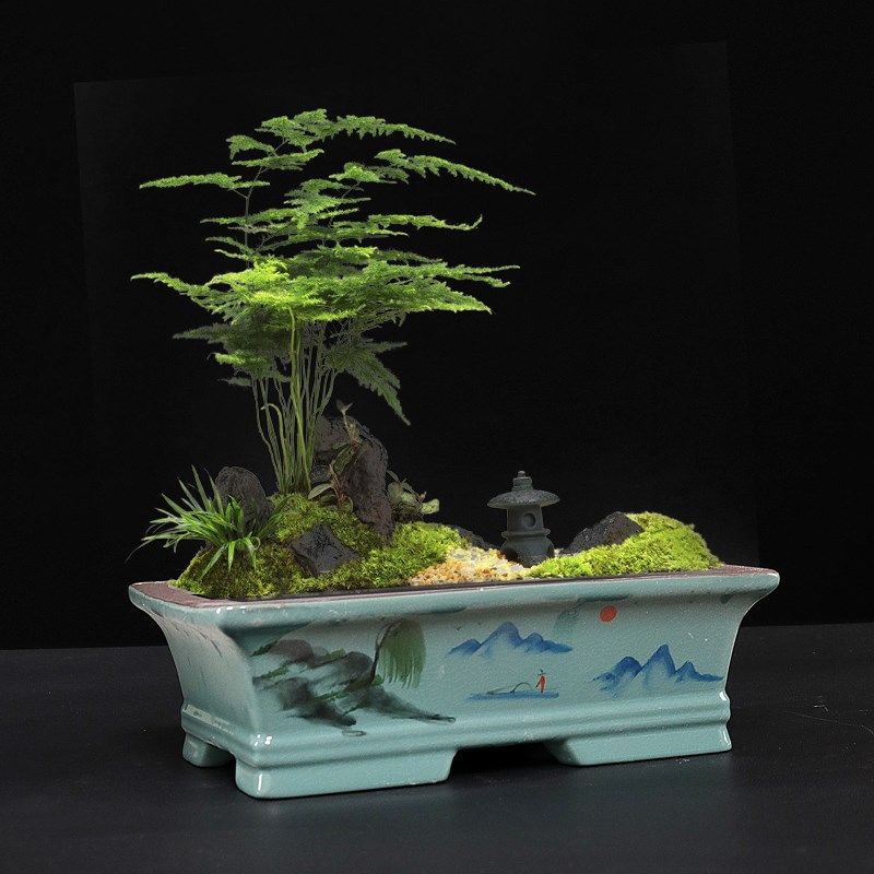 中式盆景花盆陶瓷大号长方形花盆复古高档裂纹盆马槽景观室外花盆,鲜花速递/花卉仿真/绿植园艺,花盆,淘宝优惠券,粉丝福利购,淘宝优惠卷