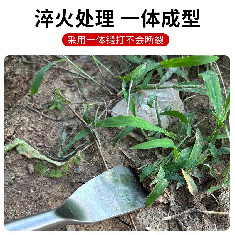 不锈钢铲子挖野菜的小铲子园艺农用除草神器挖土种菜户外园艺铲子,鲜花速递/花卉仿真/绿植园艺,铲子,淘宝优惠券,粉丝福利购,淘宝优惠卷