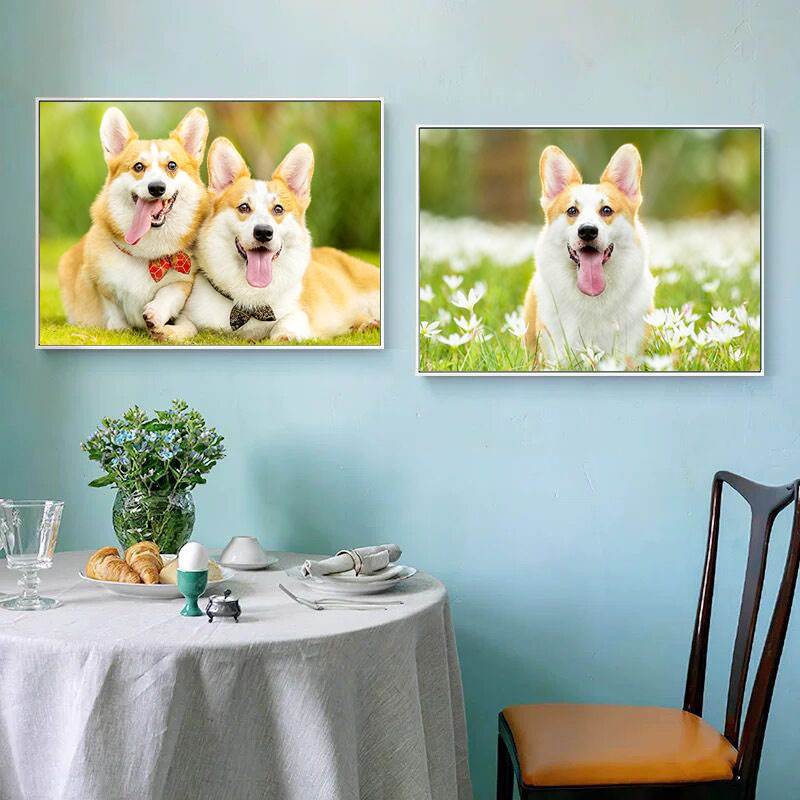 儿童房装饰画宠物店挂画现代简约可爱狗狗动物壁画单幅走廊过道画图片
