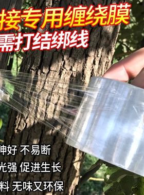 果树嫁接膜膜架稼惨绕生桩胶带苗盆景免拆条防雨桃树