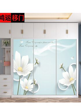 定制移门钢化玻璃 衣橱推拉门壁柜滑动门 衣帽间柜门
