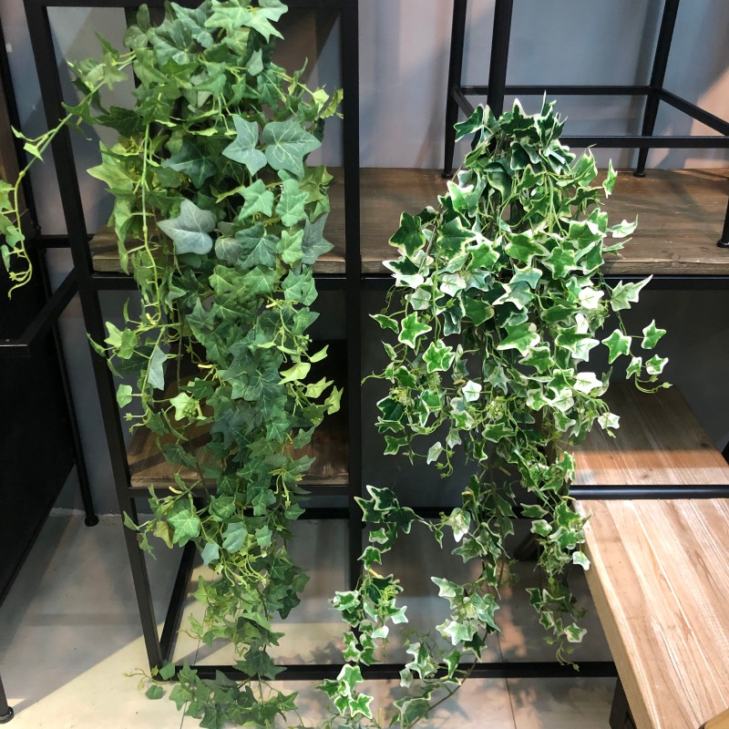 仿真常春藤绿植藤蔓大把束挂藤南天竹叶植物墙藤条垂吊装饰爬藤