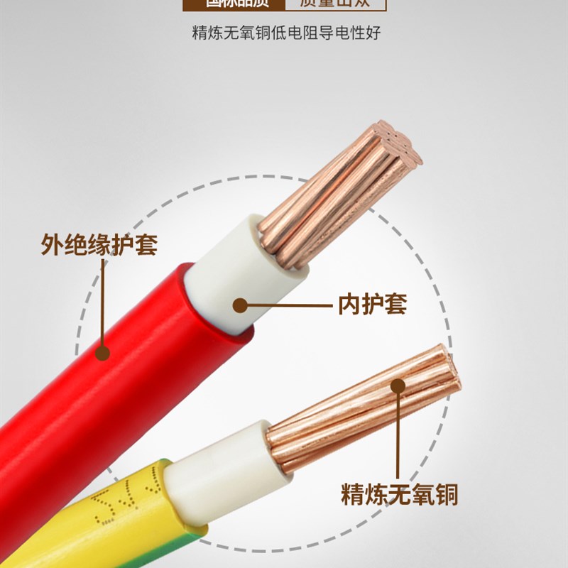 珠江电线BVV家用纯铜国标10/16/25/35/50平方双塑双皮硬线入户线